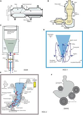Progress and challenges in designing dynamic in vitro gastric models to study food digestion